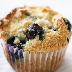 Blueberry Muffin