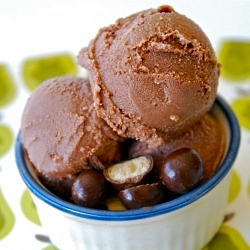 Chocolate Malt Ice Cream