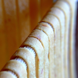 Homemade Pastadough