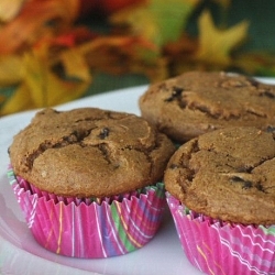 Pumpkin Chip Muffins