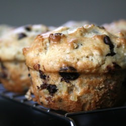 Chocolate & Candied Ginger Muffins