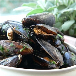 Cozze al Sugo Piccante