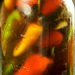 Pickled Chili Peppers