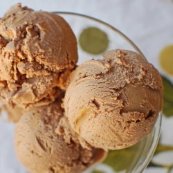 Chocolate Peanut Butter Ice Cream