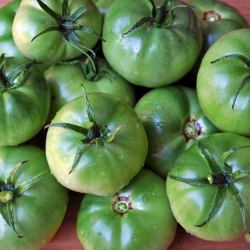 Green Tomato Relish