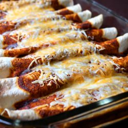 Best Chicken Enchiladas Ever