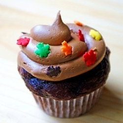 Chocolate Spice Cupcakes