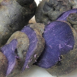 Purple Potatoes for Salad