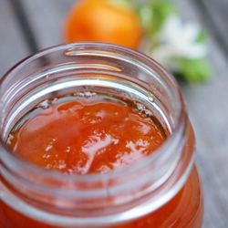 Cumquat Marmalade