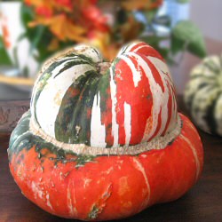 Turban Squash Soup