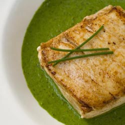 Seared Halibut with Sorrel Sauce