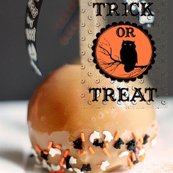 Trick Or Treat?