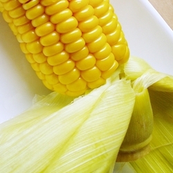 Corn