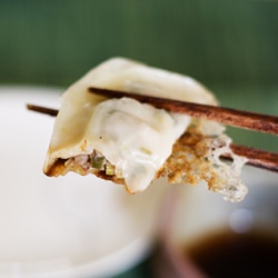 Pan-Fried Gyoza (Potstickers)