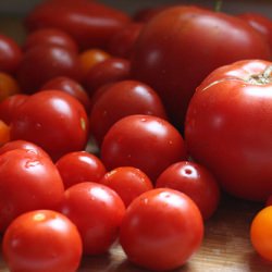 Slow-Roasted Tomatoes