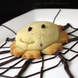 Cookie Spider