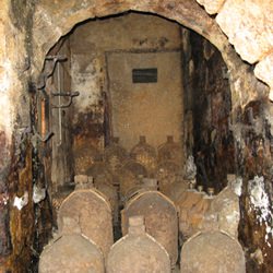 In the Cellars of Cognac