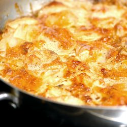 Potato and Fennel Gratin