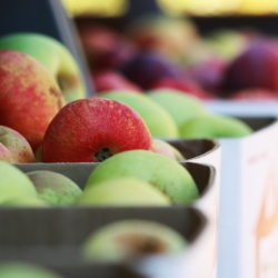 Apples For Sale