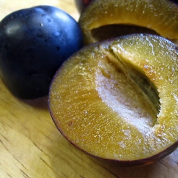 Caramelized Italian Prune Plums