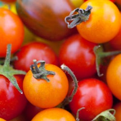 Grand Lake Farmers Market