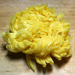 Chrysanthemum Turnip Pickle