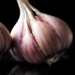 Tasting 7 Kinds of Garlic