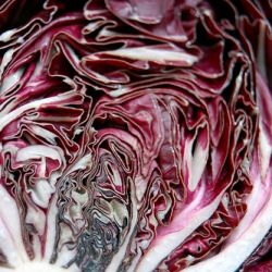 Seared Radicchio