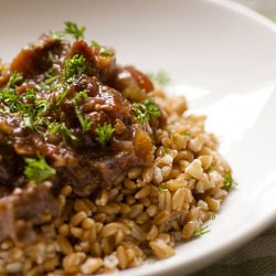 Short Rib Sugo and Farro