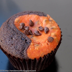 Pumpkin Black Bottom Cupcakes