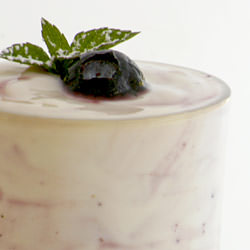 Blueberry Yogurt