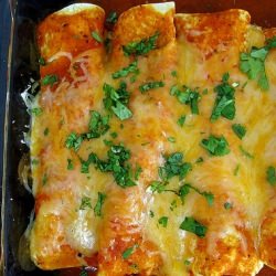 Red Chile Chicken Enchiladas