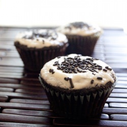 Chocolate Cupcakes