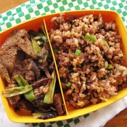 Seitan Bulgogi Doshirak