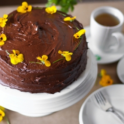 Yellow Cake with Chocolate Frosting