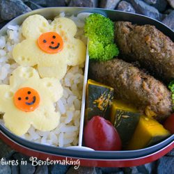 Smiling Daisies Bento (413)