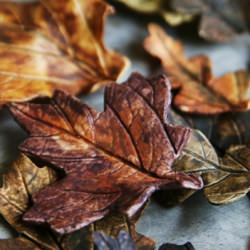 How to Make Gum Paste Leaves