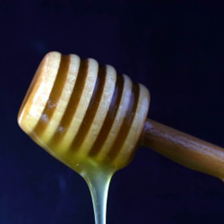 Olive Oil Honey