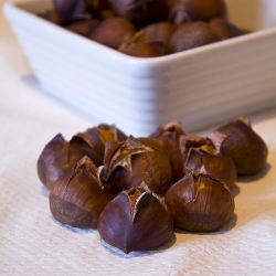 A Chestnut Smelling Memory