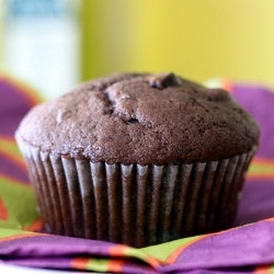 Chocolate Muffins