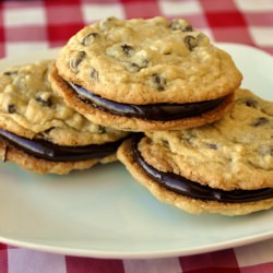 Coconut Chocolate Chip Cookies