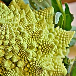 Romanesco