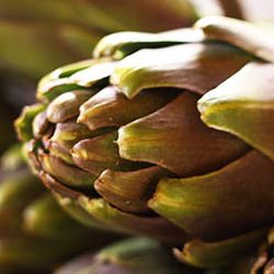 How To Clean An Artichoke