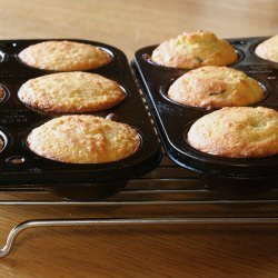 Glorious Gluten Free Grain Muffins