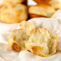 Double Quick No Knead Dinner Rolls