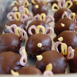 Turkey Cake Balls