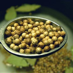 Coriander Seeds for Turkey Brine