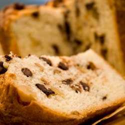 Chocolate Walnut Panettone