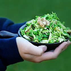 Shredded Sauteed Brussels Sprouts