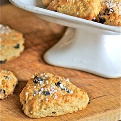 Dried blueberry scones